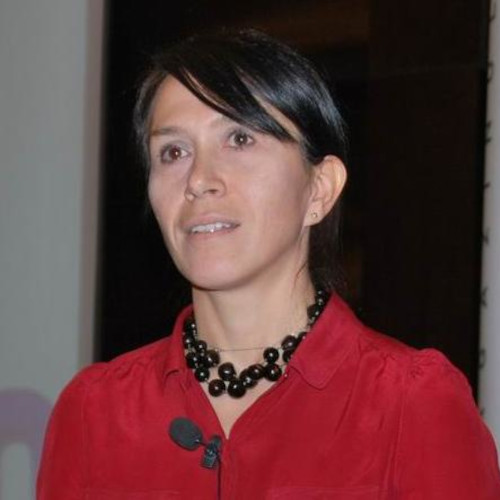 Roxana Baias, Head of Marketing Mercadia Holland BV (MIC.RO)